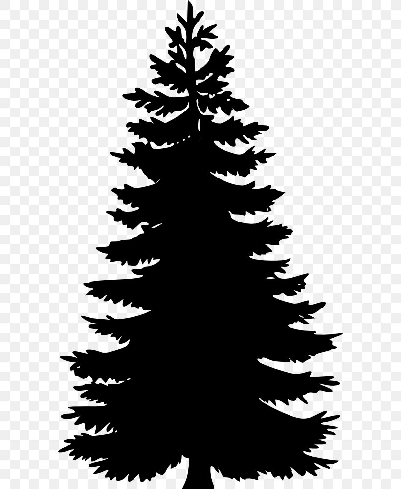 Pine Fir Tree Spruce Clip Art, PNG, 582x1000px, Pine, Black And White, Branch, Cedar, Christmas Decoration Download Free