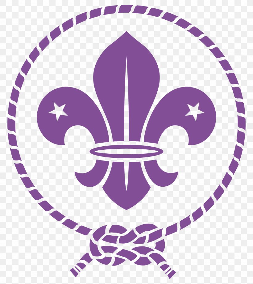 Scouting For Boys World Scout Emblem World Organization Of The Scout Movement Fleur-de-lis, PNG, 1600x1800px, Scouting For Boys, Area, Boy Scouts Of America, Fleurdelis, Logo Download Free