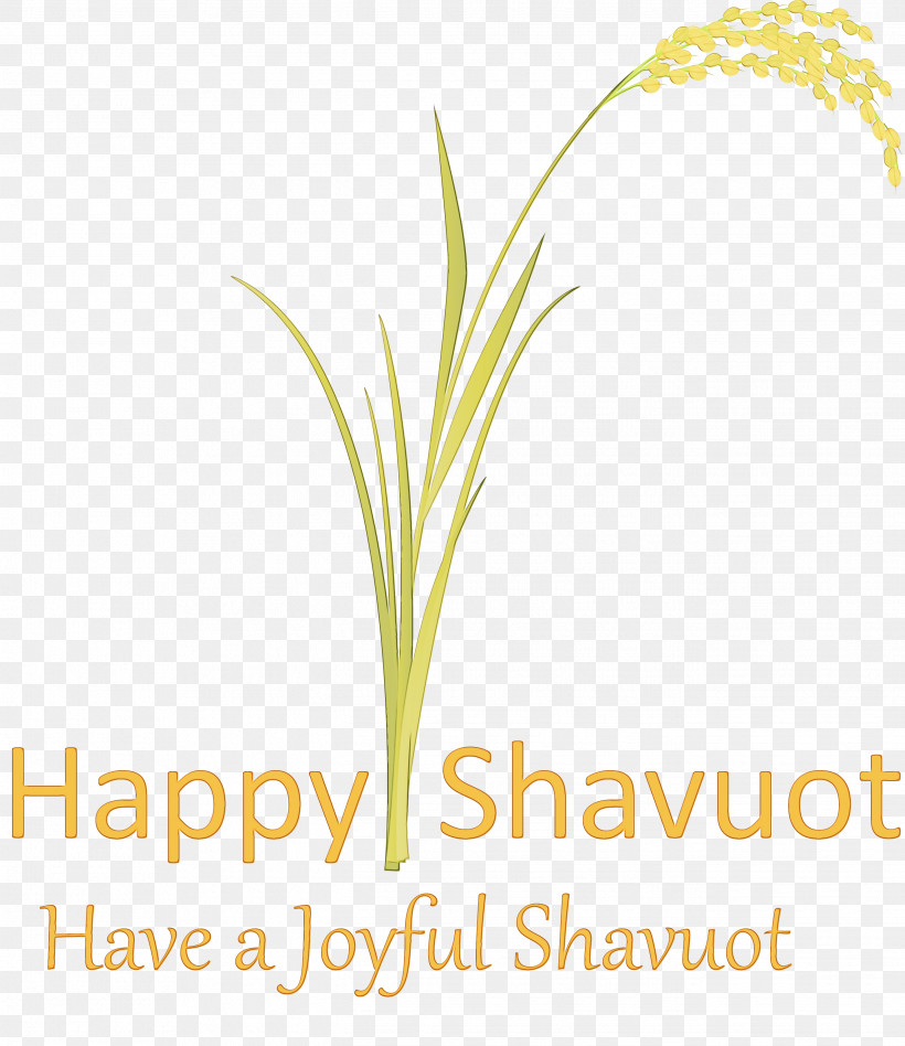 Text Plant Grass Grass Family Font, PNG, 2641x3054px, Happy Shavuot, Elymus Repens, Flower, Grass, Grass Family Download Free