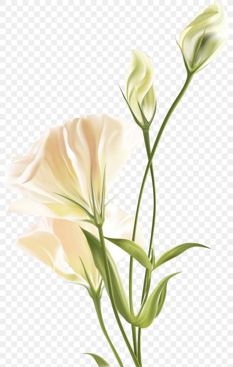 Flower Floral Design, PNG, 800x1290px, Flower, Blossom, Bud, Cut Flowers, Floral Design Download Free