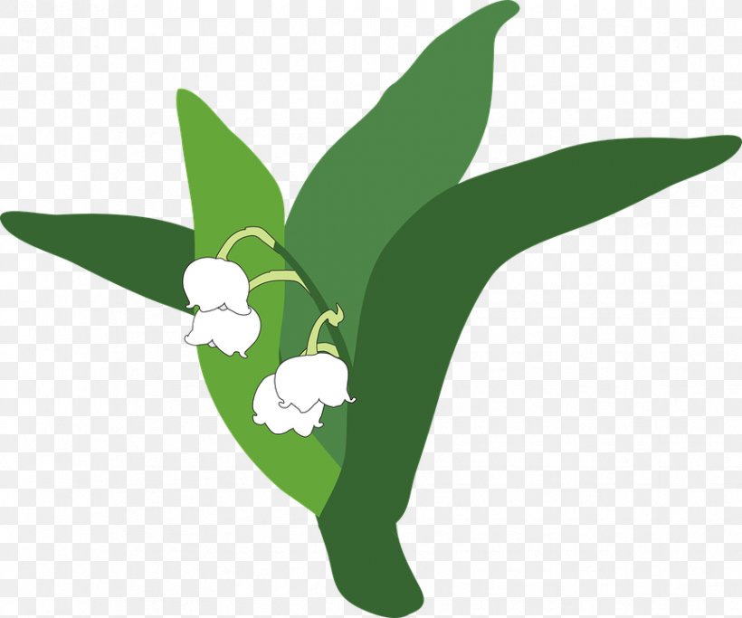 Lily Of The Valley Clip Art, PNG, 864x720px, Lily Of The Valley, Fictional Character, Grass, Green, Labour Day Download Free