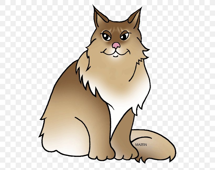 Maine Coon Maine, Maine Raccoon Kitten Clip Art, PNG, 551x648px, Maine Coon, Artwork, Carnivoran, Cat, Cat Breed Download Free