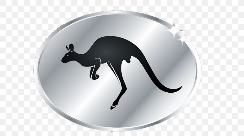 Eastern Grey Kangaroo, PNG, 686x458px, Kangaroo, Animal, Australian Silver Kangaroo, Eastern Grey Kangaroo, Gratis Download Free