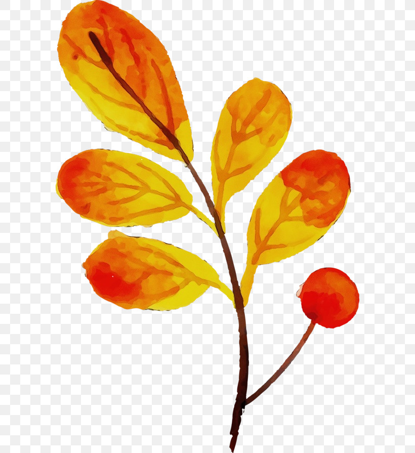 Flower Plant Stem Leaf Petal Branching, PNG, 600x895px, Watercolor, Biology, Branching, Flower, Leaf Download Free