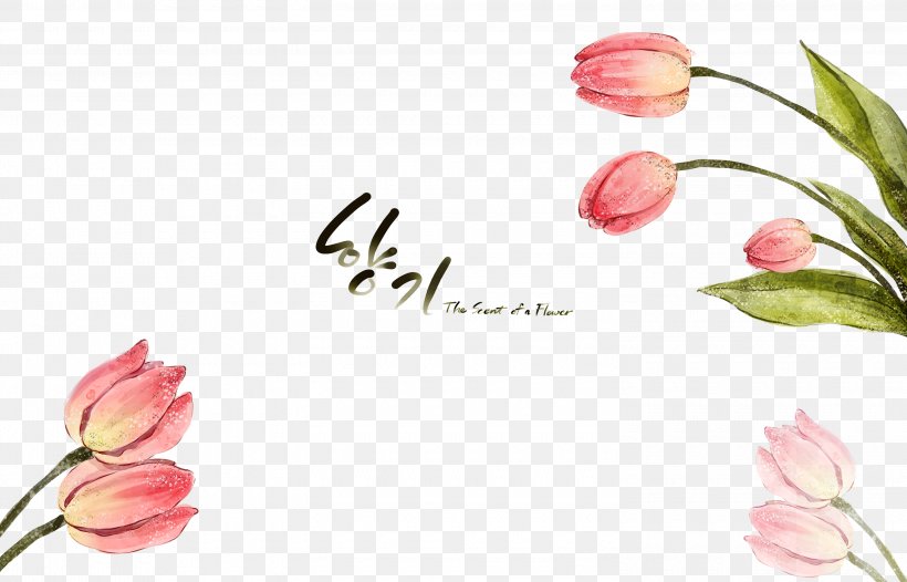 Flower Watercolor Painting Download, PNG, 3000x1928px, Tulip, Beach Rose, Cut Flowers, Flora, Floral Design Download Free