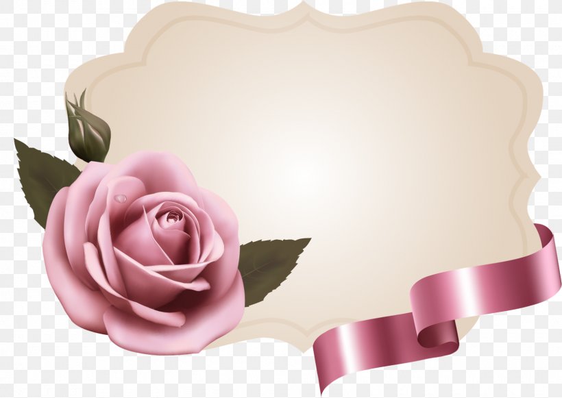 Garden Roses Pink Paper Flower, PNG, 1600x1134px, Garden Roses, Cut Flowers, Floral Design, Flower, Greeting Note Cards Download Free