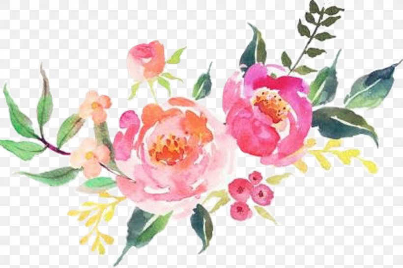 Watercolor Painting Image Drawing Flower, PNG, 1024x683px, Watercolor Painting, Art, Botany, Camellia, Chinese Peony Download Free