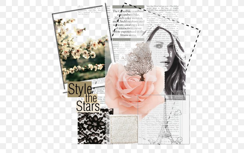 Paper Picture Frames Petal Collage Pattern, PNG, 543x513px, Paper, Collage, Flower, Hair Accessory, Petal Download Free