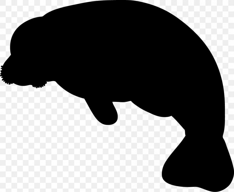 West Indian Manatee Baby Manatee Miami Manatees Clip Art, PNG, 1050x861px, West Indian Manatee, African Manatee, Art, Baby Manatee, Black Download Free