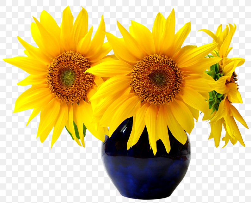 Common Sunflower Sunflower Seed Ornamental Plant, PNG, 1024x830px, Common Sunflower, Cut Flowers, Daisy Family, Floristry, Flower Download Free