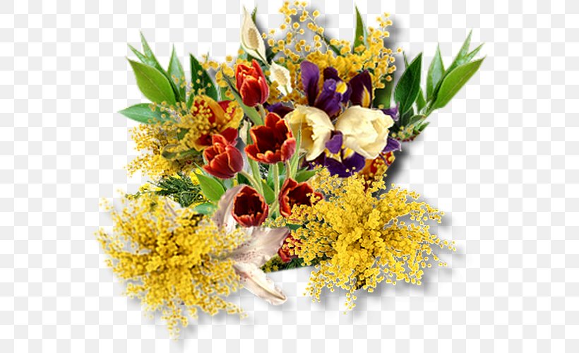 Flower Acacia Dealbata Artane, Dublin Floristry Woman, PNG, 564x500px, Flower, Acacia Dealbata, Artane Dublin, Blog, Cut Flowers Download Free