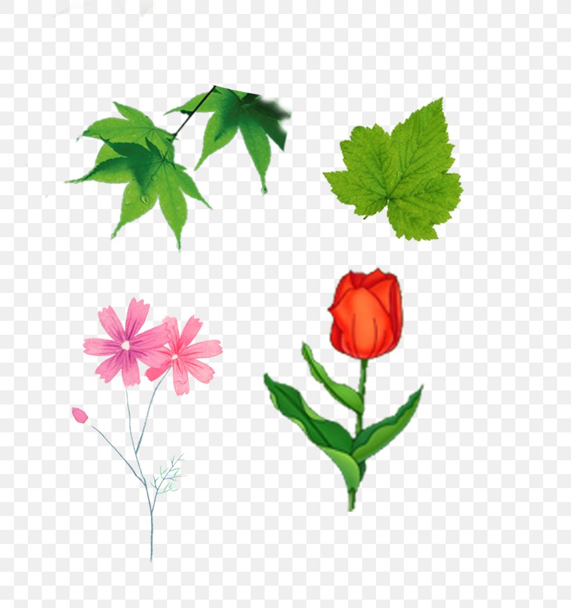Plant Leaves Green Leaf Clip Art, PNG, 788x872px, Plant Leaves, Branch, Flora, Floral Design, Flower Download Free