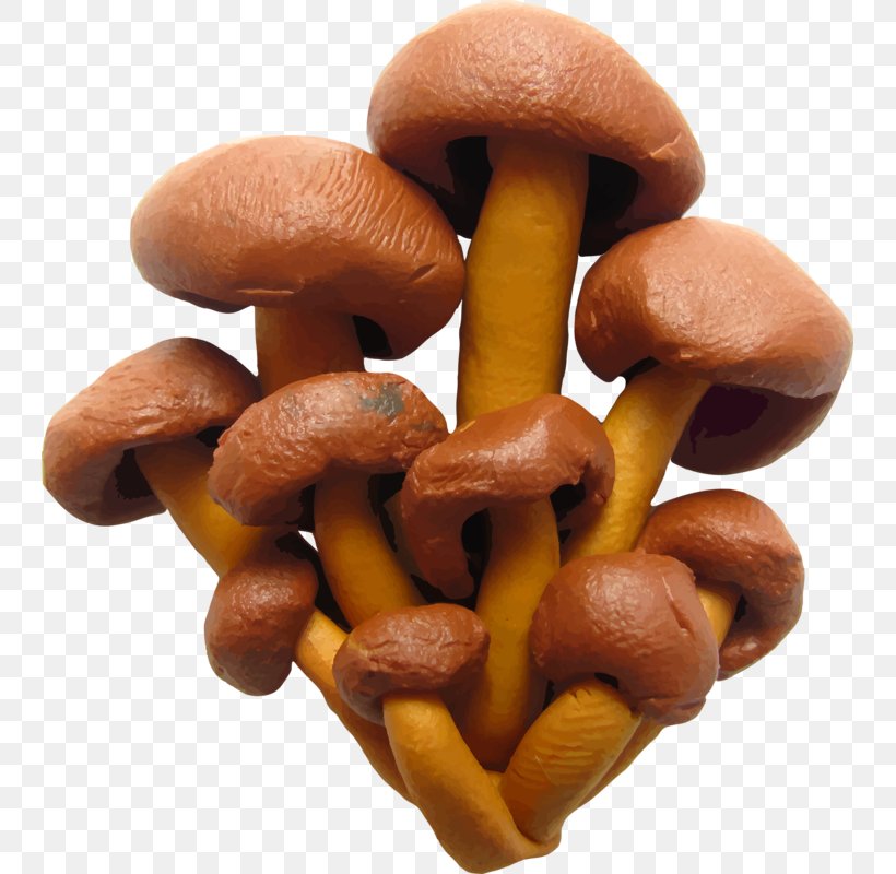 Plasticine Illustration, PNG, 743x800px, Plasticine, Child, Edible Mushroom, Ingredient, Modelling Clay Download Free