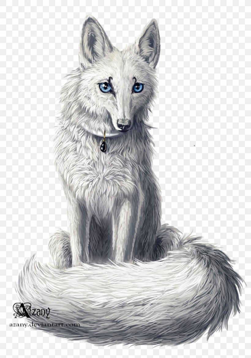 Red Fox Gray Wolf Kit Fox Fur Drawing, PNG, 900x1284px, Red Fox, Black And White, Carnivoran, Dog Like Mammal, Drawing Download Free