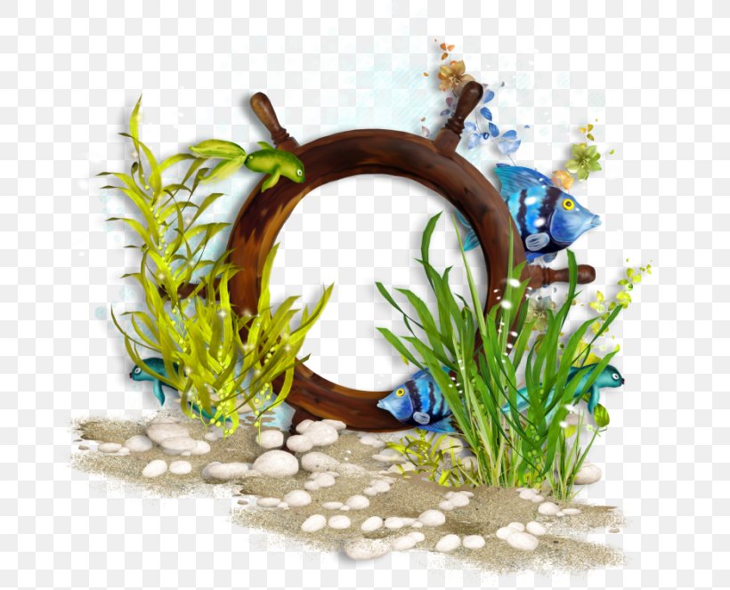 Sea Clip Art, PNG, 700x663px, Sea, Algae, Aquarium Decor, Fish, Floral Design Download Free