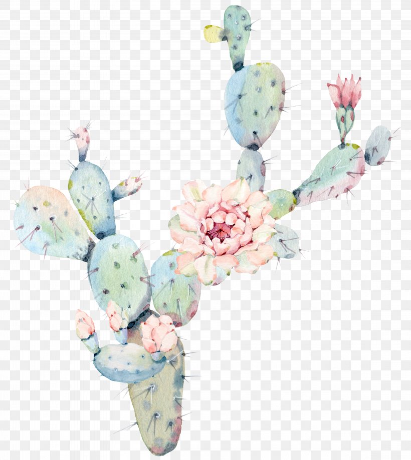 Water Color Flower Cactus Plant, PNG, 4579x5133px, Cactaceae, Art, Canvas, Color, Floral Design Download Free