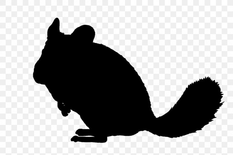 Whiskers Silhouette Chinchilla Black And White, PNG, 1000x666px, Whiskers, Animal, Black, Black And White, Canidae Download Free