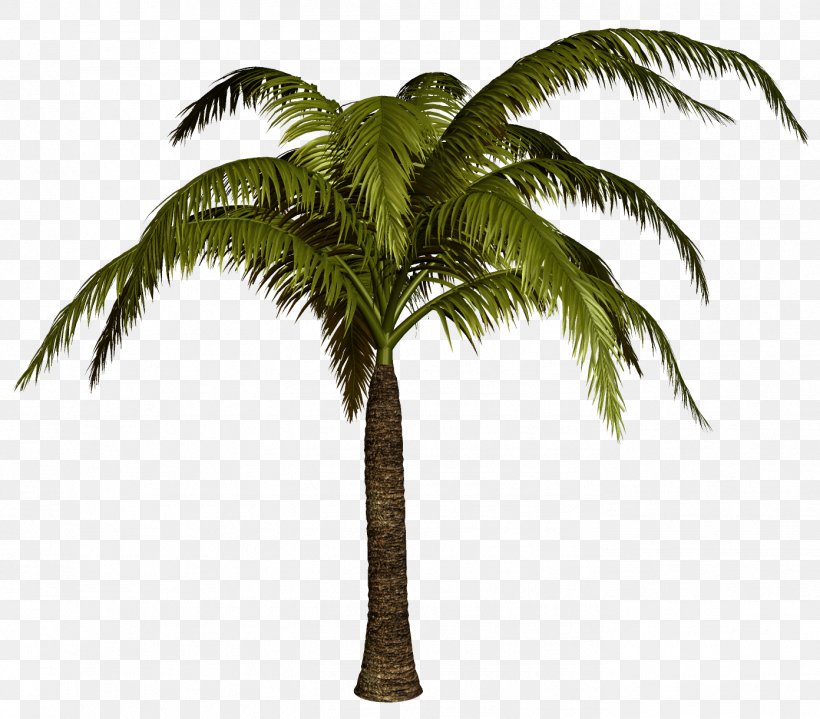 Palm Trees Clip Art Psd Drawing, PNG, 1392x1221px, Palm Trees, Arecales, Asian Palmyra Palm, Attalea Speciosa, Babassu Download Free