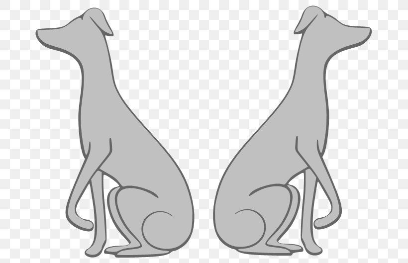 Whippet Italian Greyhound Sloughi Labrador Retriever, PNG, 699x529px, Whippet, Beagle, Black And White, Breed, Carnivoran Download Free