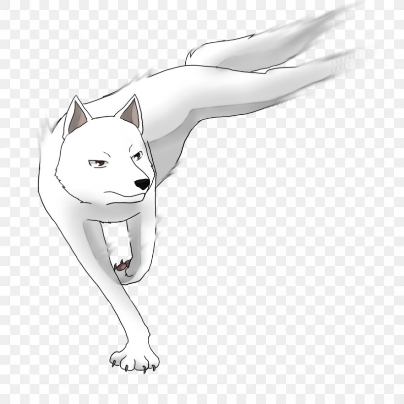 Whiskers Drawing Dog Cat /m/02csf, PNG, 894x894px, Whiskers, Akame Ga Kill, Artwork, Black And White, Canidae Download Free