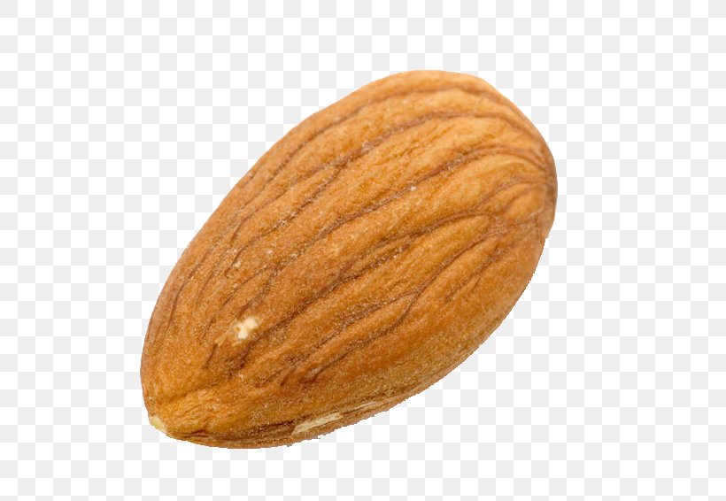 Almond Milk Nut Almond Meal, PNG, 755x566px, Almond, Almond Butter, Almond Meal, Almond Milk, Commodity Download Free