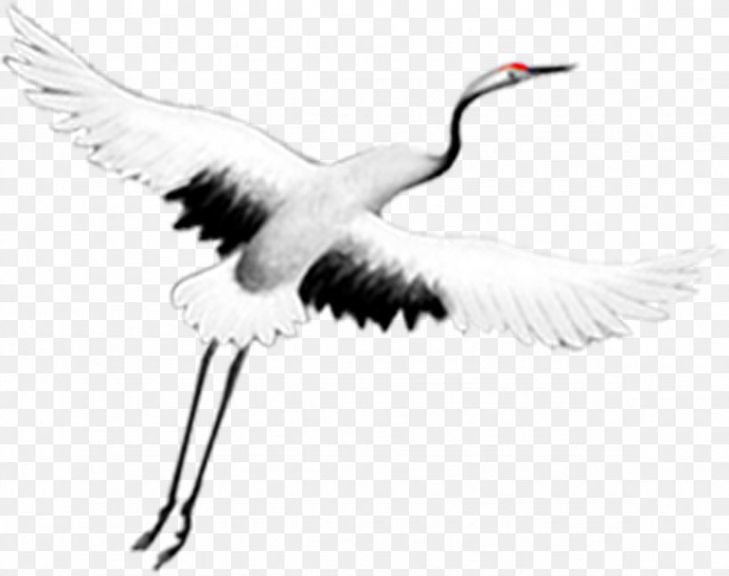 Crane Art Clip Art, PNG, 2362x1869px, Crane, Art, Artist, Beak, Bird Download Free