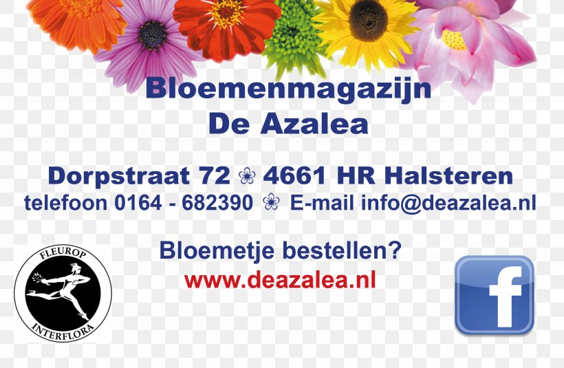 Floral Design Cut Flowers Interflora Brand, PNG, 3475x2268px, Floral Design, Banner, Blue, Brand, Cut Flowers Download Free