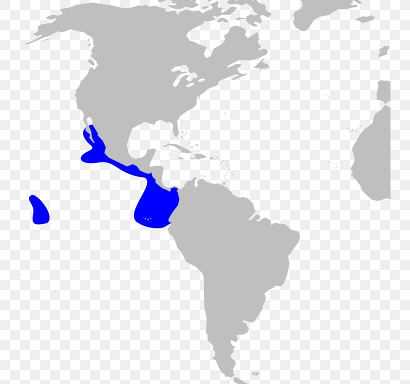 Spanish Empire Spanish Colonization Of The Americas Dutch Empire United States, PNG, 742x768px, Spanish Empire, Area, Colonial Empire, Country, Dutch Empire Download Free