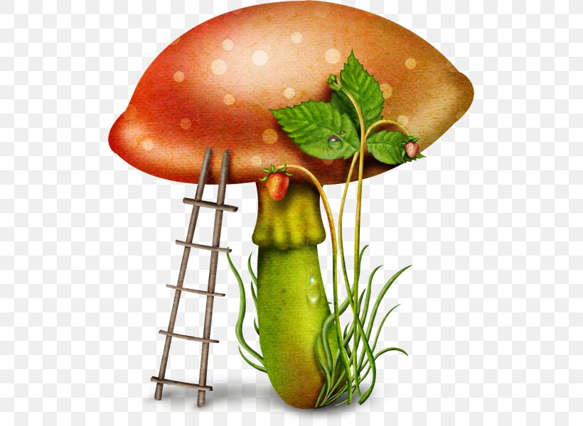 Fungus Mushroom Clip Art, PNG, 515x600px, Fungus, Diet Food, Digital Image, Drawing, Food Download Free