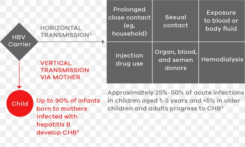 Hepatitis B Brand Product Design Transmission, PNG, 1000x603px, Hepatitis, Brand, Diagram, Hepatitis B, Household Download Free