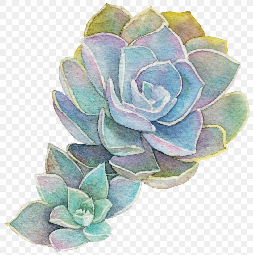 Succulent Plant Transparent Watercolor Watercolor Painting Echeveria Elegans, PNG, 1969x1982px, Succulent Plant, Art, Blue, Blue Rose, Botany Download Free