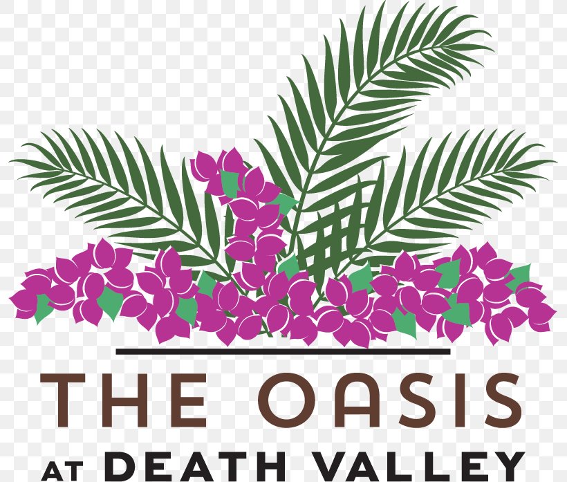 The Oasis At Death Valley Furnace Creek The Inn At Death Valley Resort Hotel, PNG, 795x697px, Resort, Area, Death Valley, Death Valley National Park, Flower Download Free