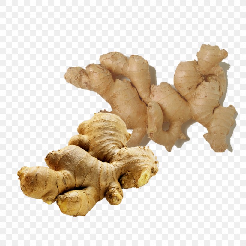 Ginger Essential Oil Distillation Food, PNG, 1000x1000px, Ginger, Alcohol, Condiment, Distillation, Essential Oil Download Free