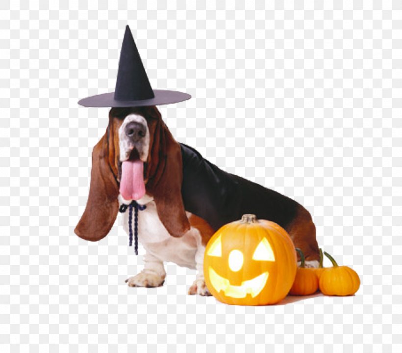 Basset Hound French Bulldog Puppy Halloween Costume Png