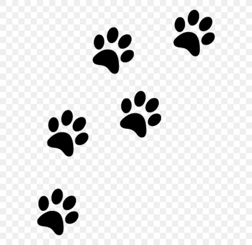 Cat Yorkshire Terrier Paw Clip Art, PNG, 800x800px, Cat, Black, Black And White, Cattery, Dog Download Free