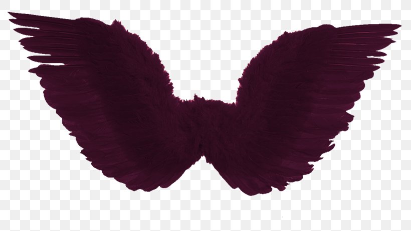 Costume Party Disguise Halloween Feather, PNG, 800x462px, Costume, Aile, Angel, Butterfly, Carnival Download Free