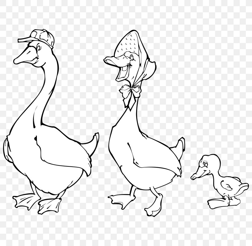 Duck Chicken Goose Bird Grey Geese, PNG, 800x800px, Duck, Arm, Art, Artwork, Beak Download Free