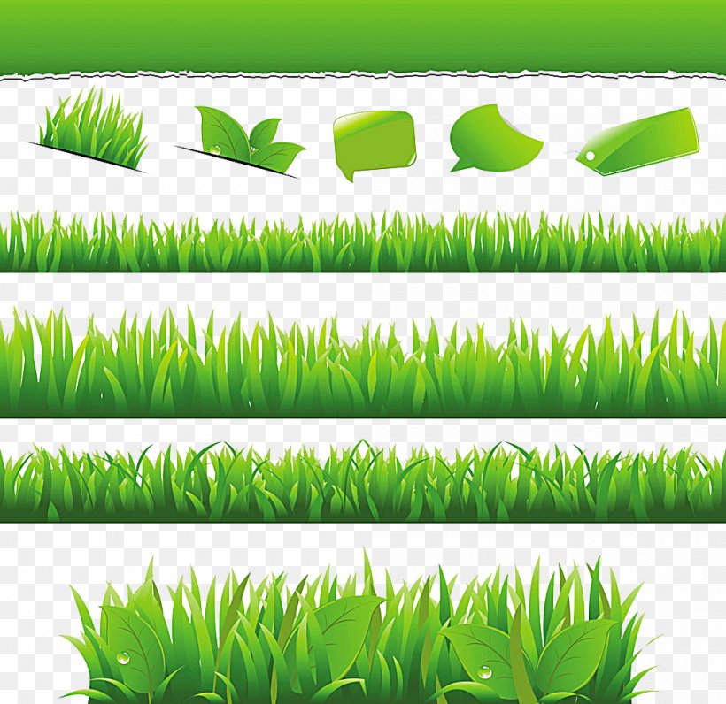 Environmentally Friendly Royalty-free Stock Photography, PNG, 1000x971px, Environmentally Friendly, Ecodesign, Grass, Grass Family, Green Download Free