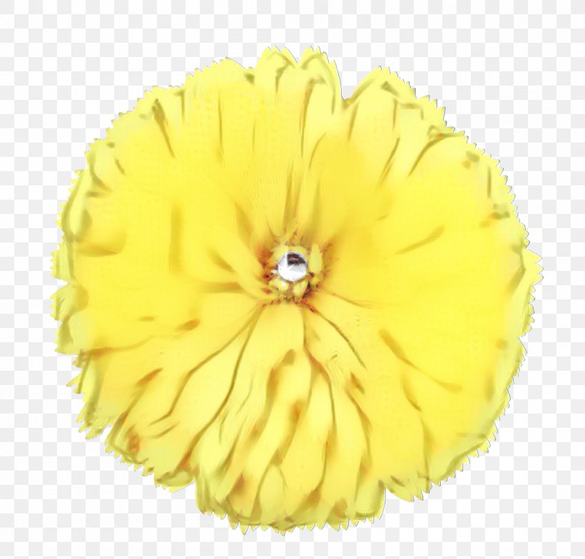Flowers Background, PNG, 998x955px, Petal, Cut Flowers, Flower, Pompom, Yellow Download Free