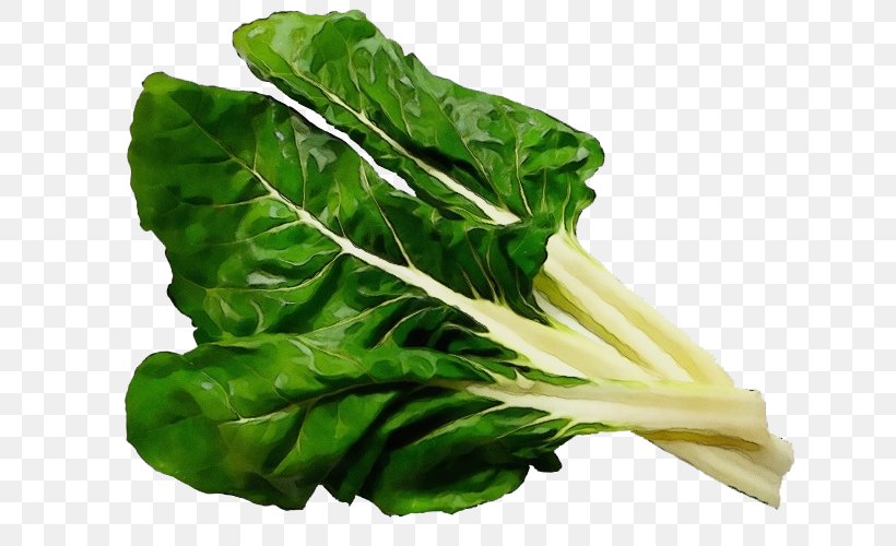 Leaf Vegetable Chard Vegetable Leaf Food, PNG, 666x500px, Watercolor, Chard, Collard Greens, Food, Leaf Download Free