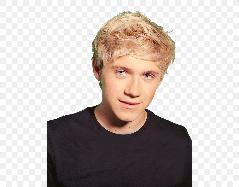 Niall Horan One Direction Crying Blond Sadness, PNG, 500x641px, Watercolor, Cartoon, Flower, Frame, Heart Download Free