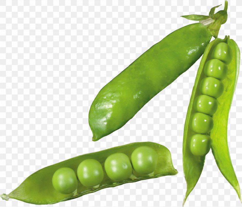 Pea Clip Art, PNG, 2753x2356px, Pea, Bird S Eye Chili, Broad Bean, Cdr, Chili Pepper Download Free