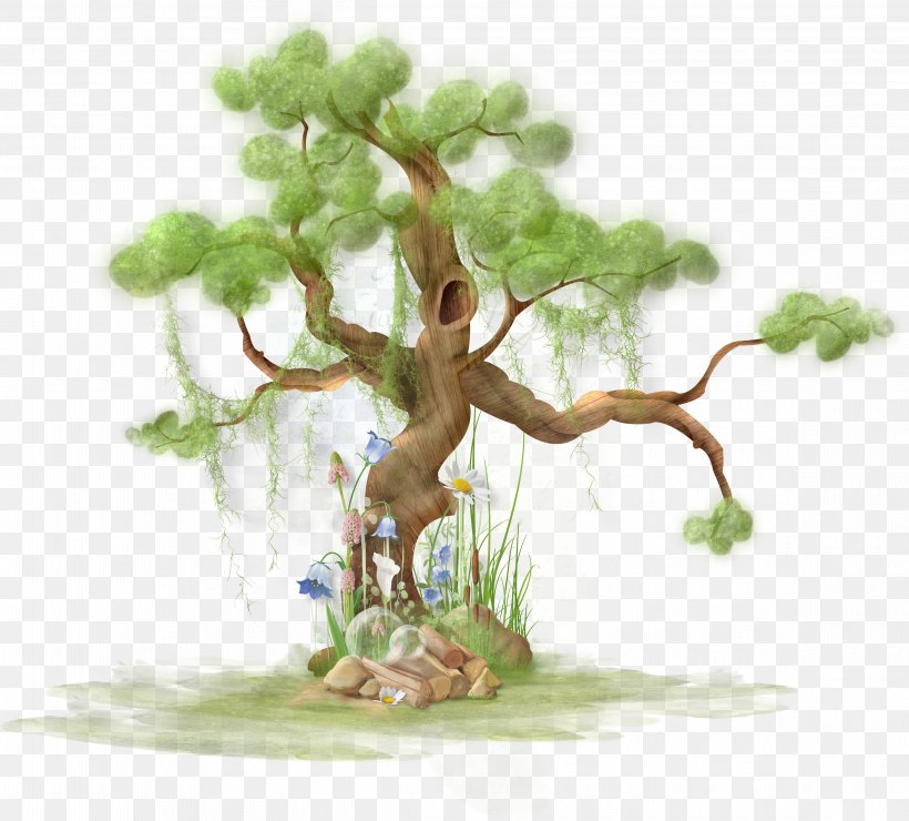 Tree Plant Paper Polyvore, PNG, 4650x4201px, Tree, Bonsai, Branch, Fir, Flower Download Free