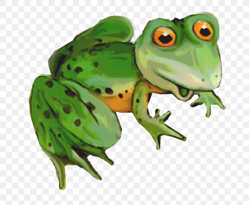 American Bullfrog Toad Tree Frog True Frog, PNG, 1686x1387px, American Bullfrog, Amphibian, Animal, Bullfrog, Fauna Download Free