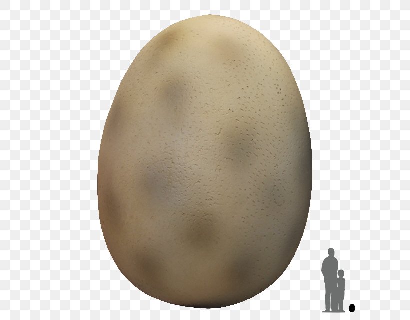 Dinosaur Egg Animal, PNG, 640x640px, Egg, Animal, Dinosaur, Dinosaur Egg, Philippines Download Free