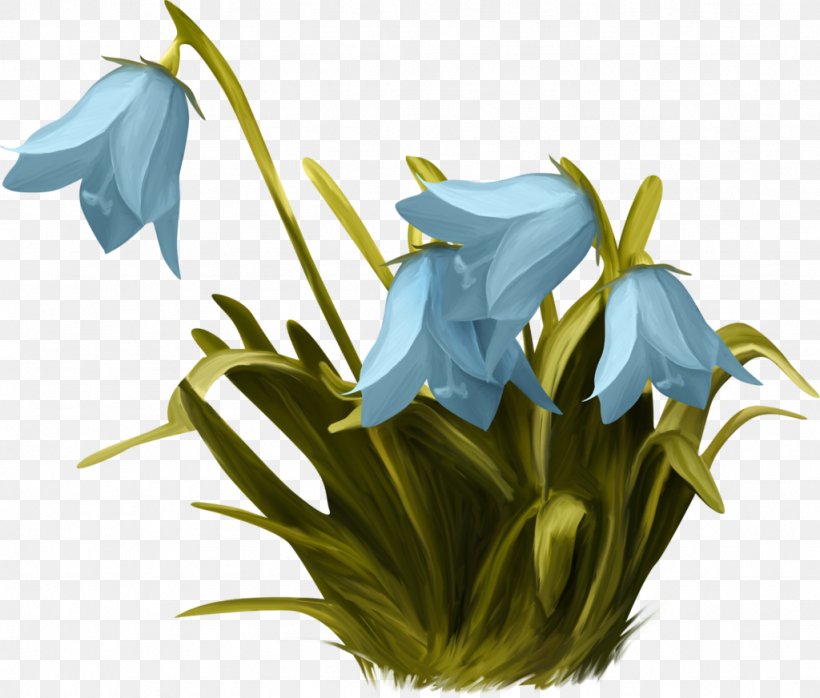 Flower Plant, PNG, 1024x872px, Flower, Amaryllis, Amaryllis Belladonna, Cut Flowers, Flora Download Free