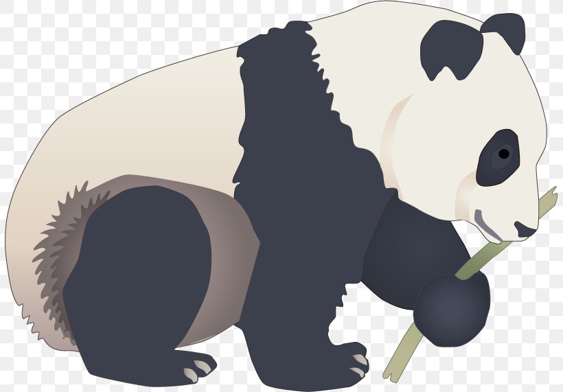 Giant Panda, PNG, 808x571px, Giant Panda, Bear, Carnivoran, Cartoon, Computer Graphics Download Free