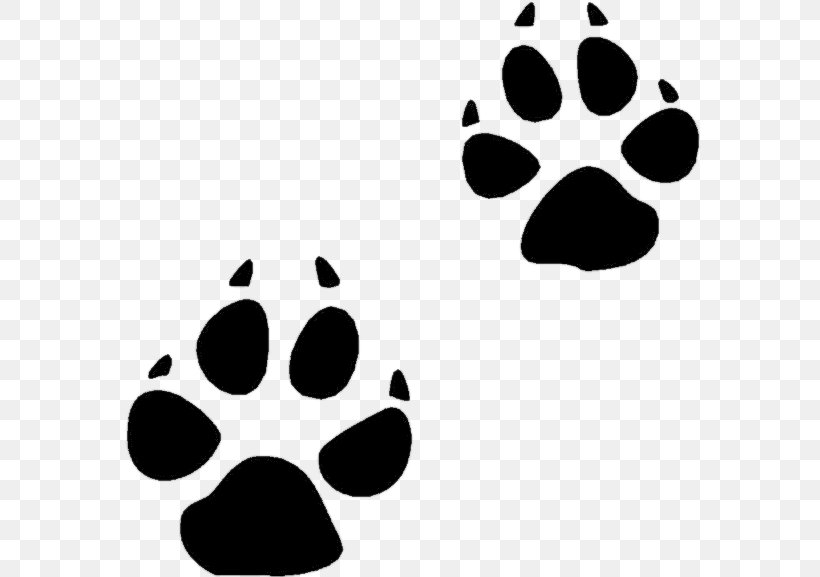 Animal Track Tracking Footprint Clip Art, PNG, 600x577px, Animal Track, Animal, Black, Black And White, Bobcat Download Free