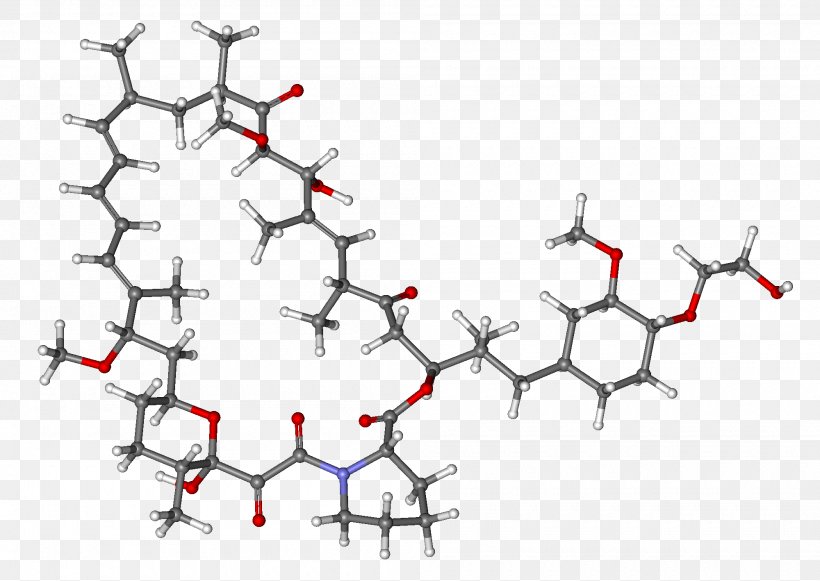 Everolimus Sirolimus MTOR Inhibitors Sorafenib, PNG, 2000x1418px, Everolimus, Abatacept, Belatacept, Cancer, Immunosuppressive Drug Download Free