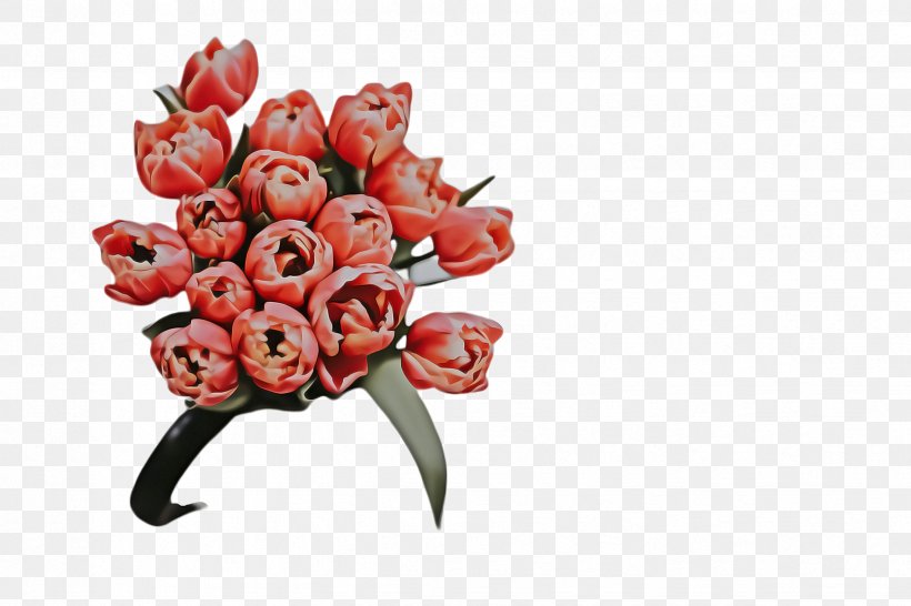 Lily Flower Cartoon, PNG, 2448x1632px, Tulip, Blossom, Botany, Bouquet, Bud Download Free